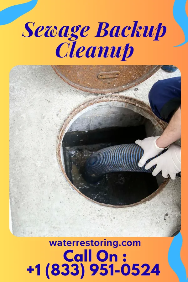 Sewage Backup Cleanup in Red Hill, SC